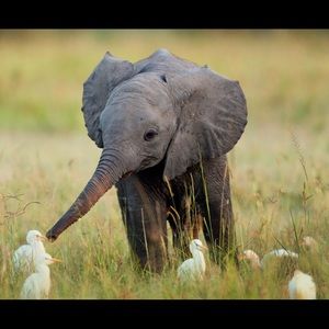 Meet your Posher, Jordan